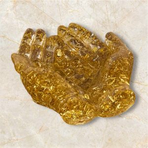 Mains transparentes 🤲