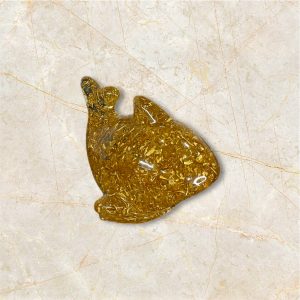 Mignon requin transparent et feuille d'or
