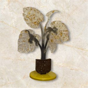 Monstera Deliciosa Effet Diamant Une Oasis de Luxe pour Votre Décoration Intérieure !