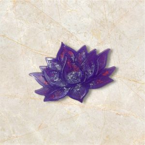 Fleur de Nénuphar